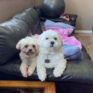 Meet your Posher, Cindy